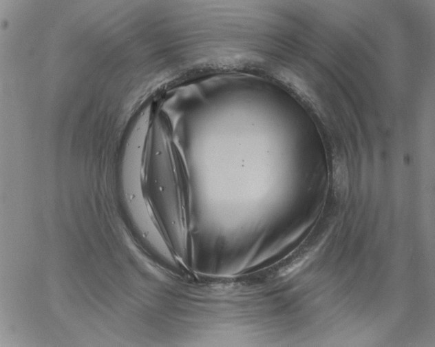 X0000061730493200512231438