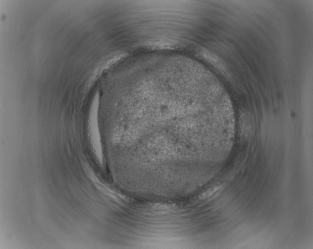 X0000061730494200512231438