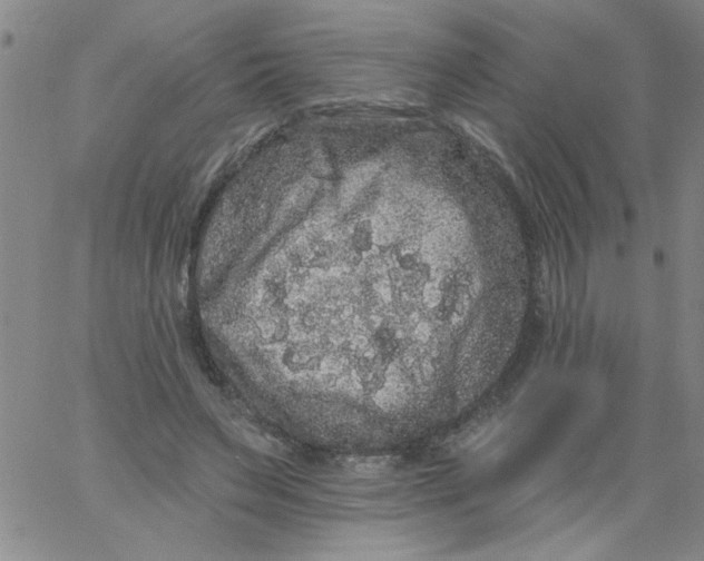 X0000061730495200512231438