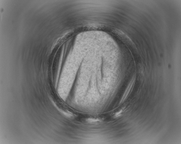 X0000061730496200512231438