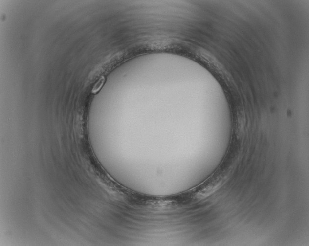 X0000061730497200512231438