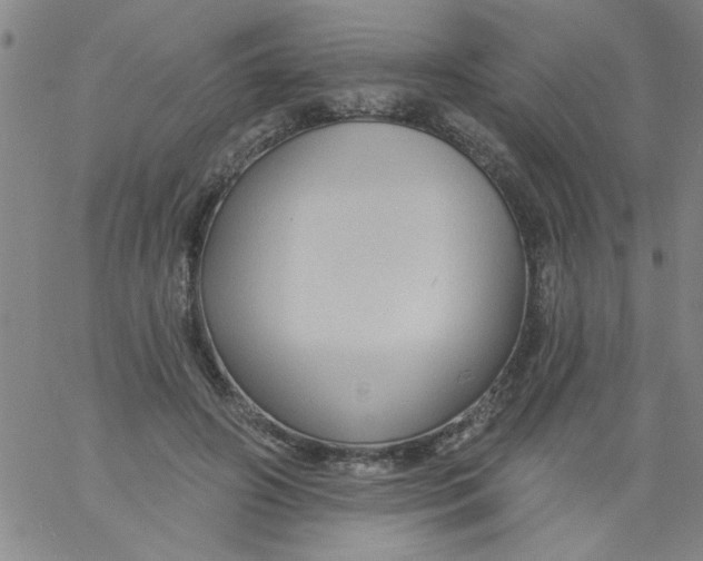 X0000061730498200512231438