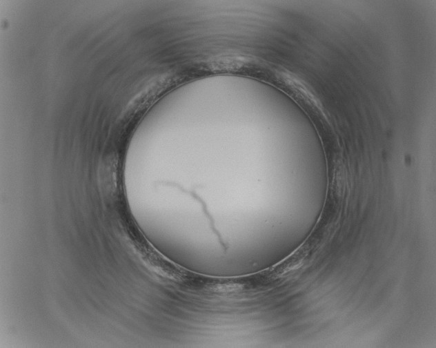 X0000061730501200512231438