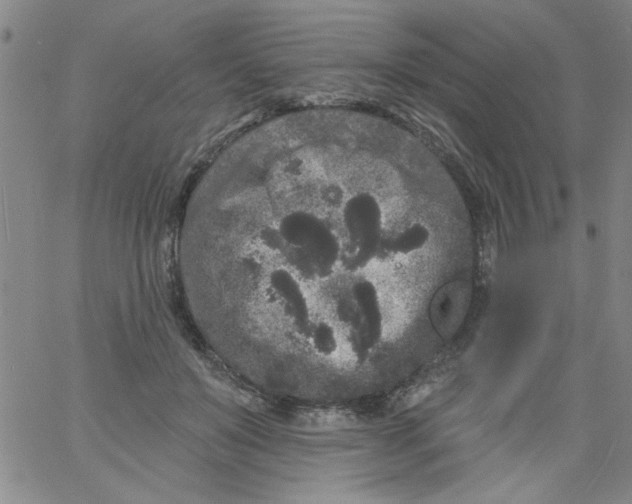 X0000061730503200512231438