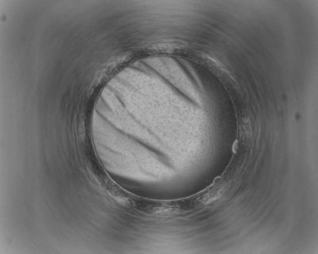 X0000061730504200512231438