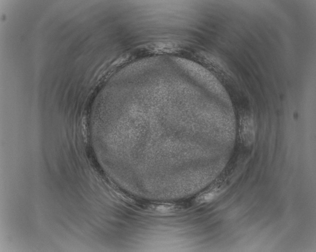 X0000061730506200512231438