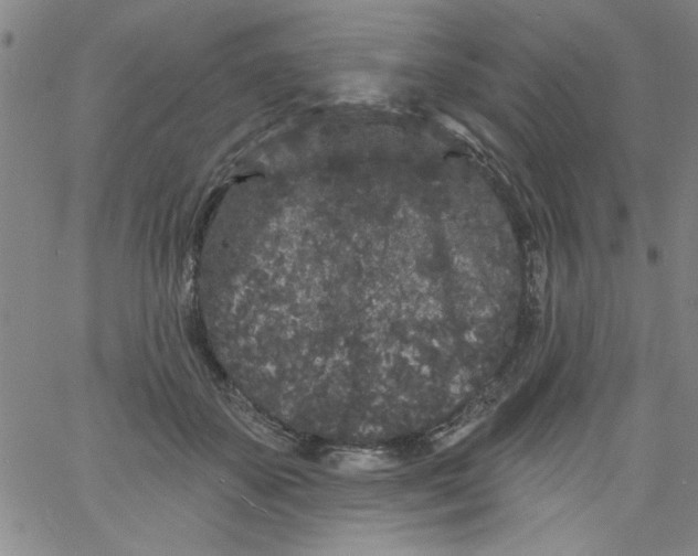 X0000061730507200512231438