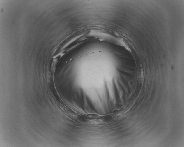 X0000061730508200512231438