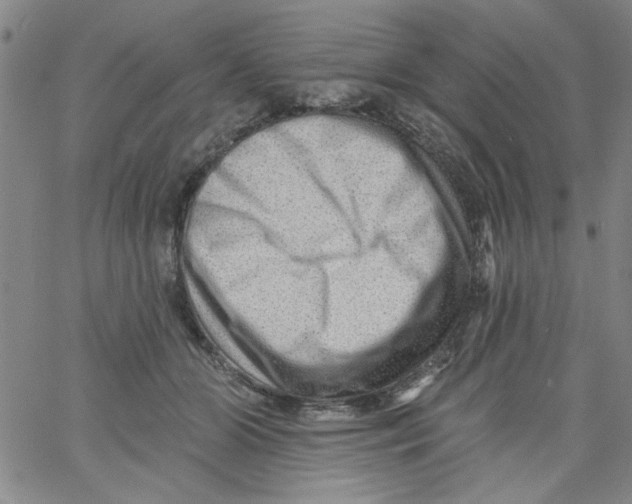 X0000061730510200512231438