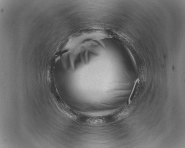 X0000061730512200512231438