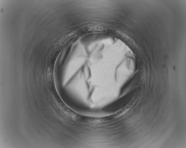 X0000061730513200512231438