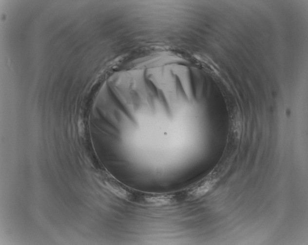 X0000061730516200512231438