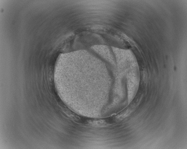 X0000061730517200512231438