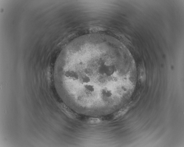 X0000061730519200512231438