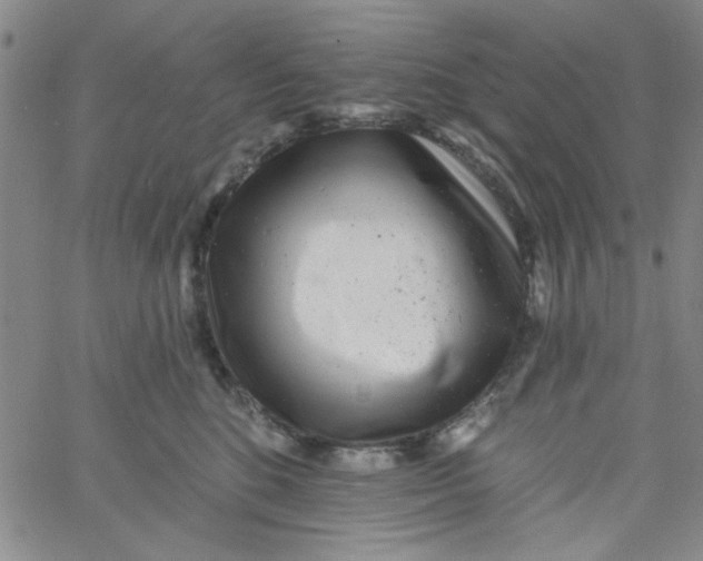 X0000061730520200512231438