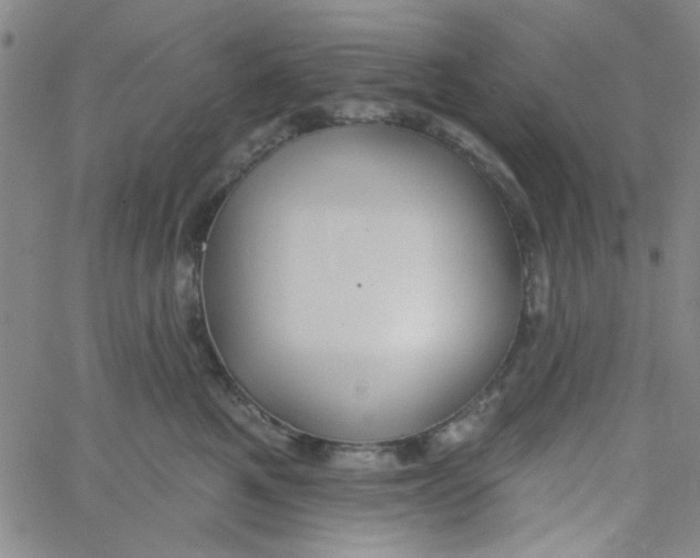 X0000061730521200512231438