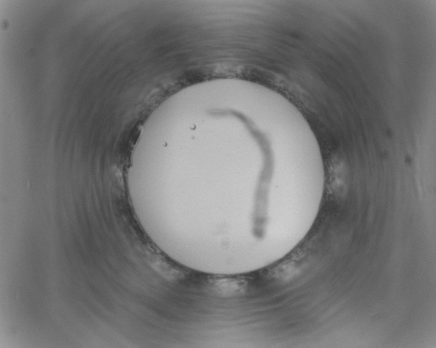 X0000061730522200512231438