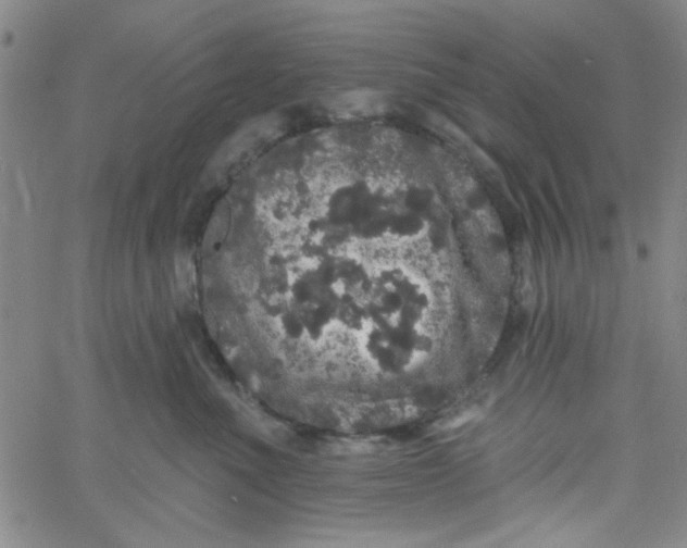 X0000061730523200512231438