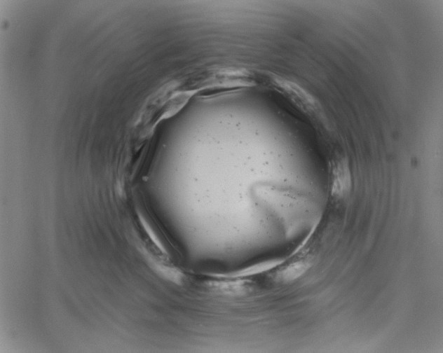 X0000061730524200512231438