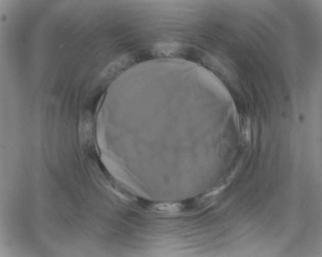 X0000061730526200512231438