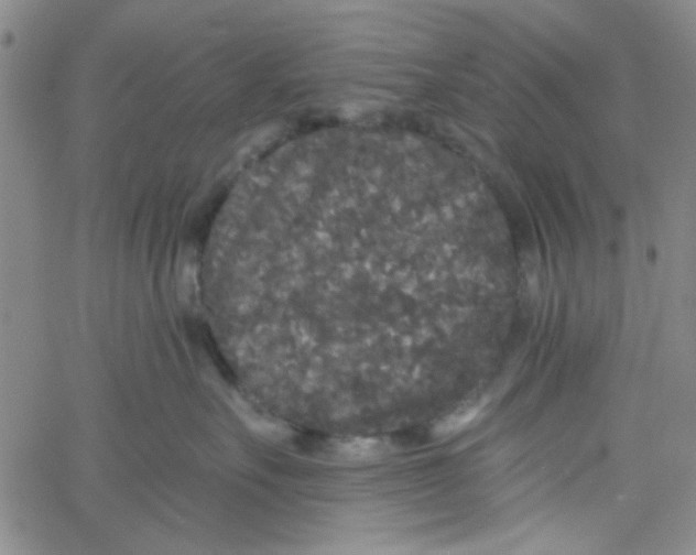 X0000061730527200512231438