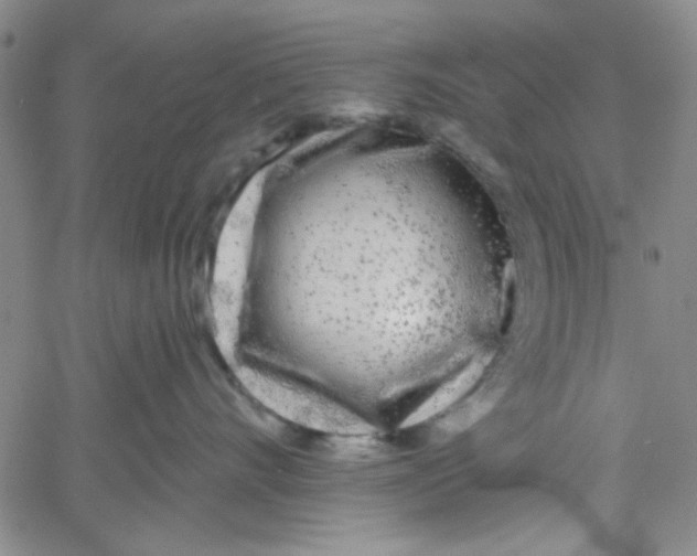 X0000061730528200512231438