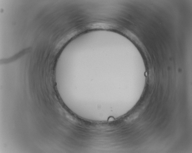 X0000061730529200512231437