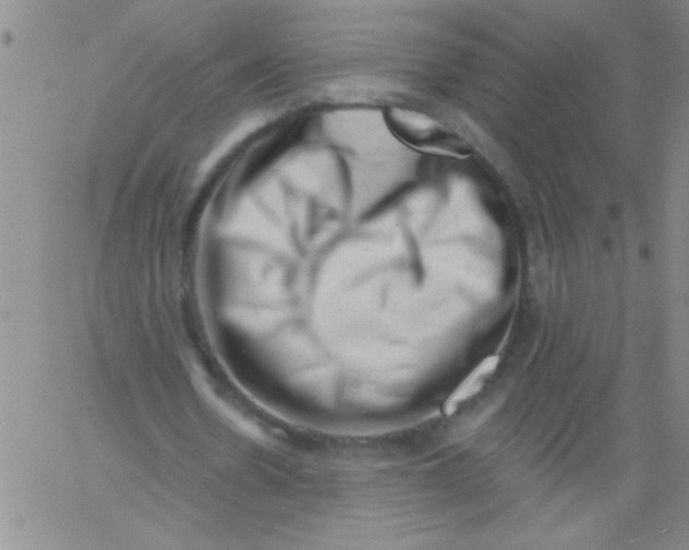 X0000061730530200512231437