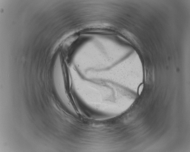 X0000061730531200512231437