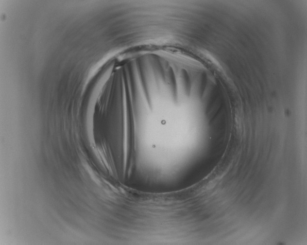 X0000061730532200512231437