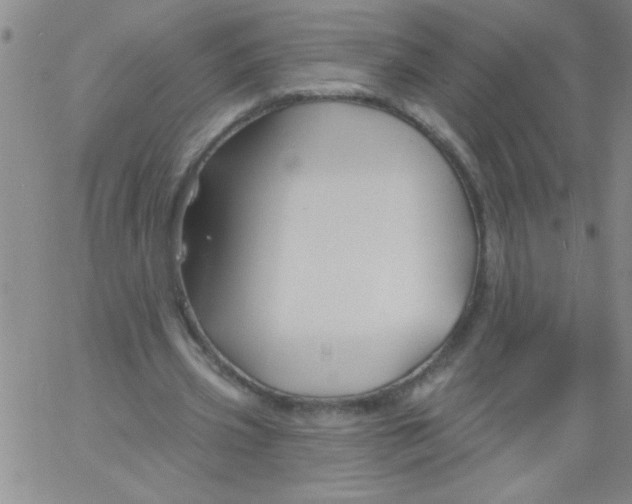 X0000061730533200512231437