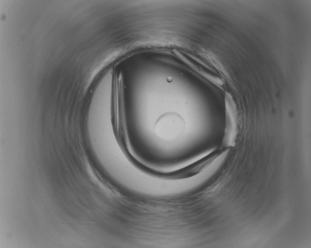 X0000061730534200512231437