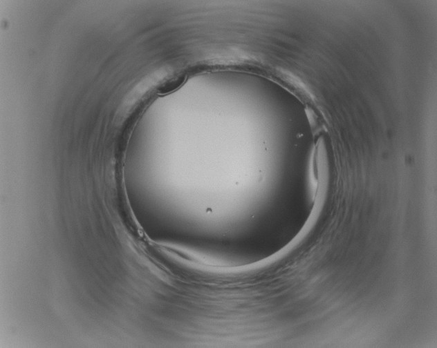 X0000061730535200512231437