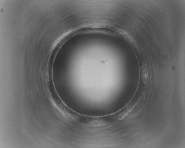 X0000061730536200512231437