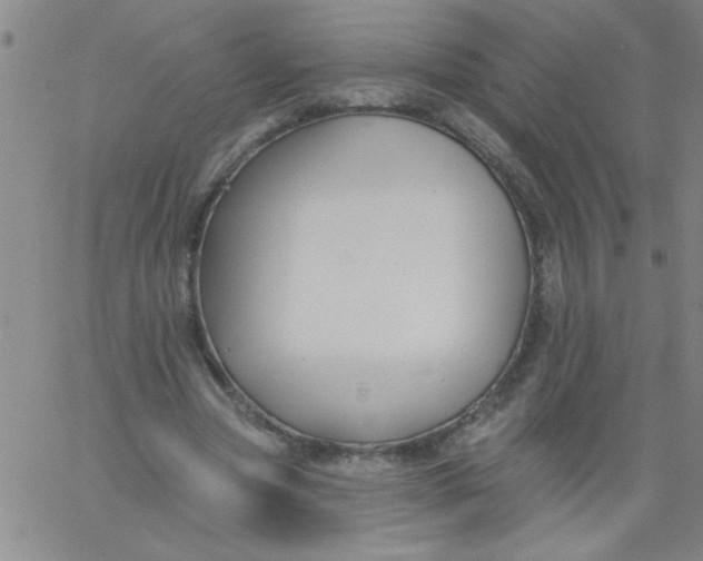 X0000061730537200512231437