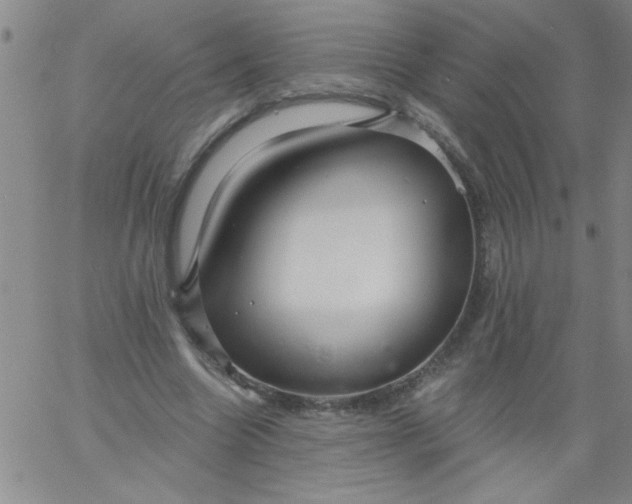 X0000061730538200512231437