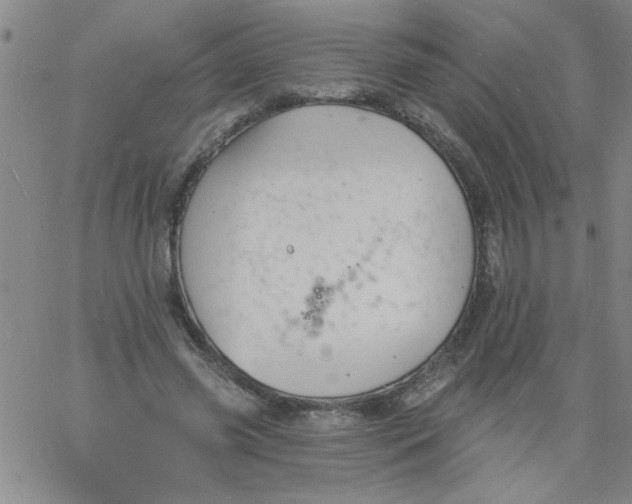 X0000061730541200512231437