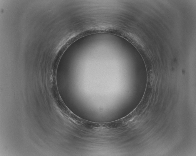 X0000061730544200512231437