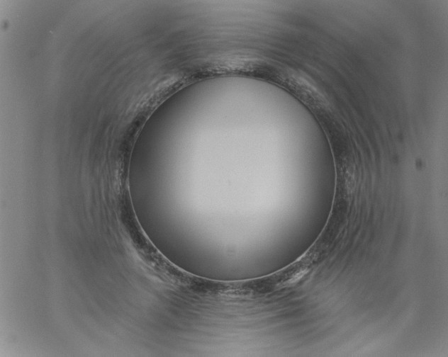 X0000061730546200512231437