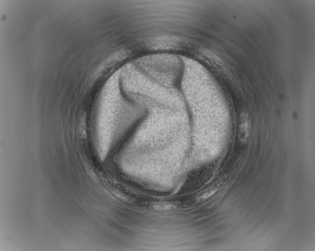 X0000061730547200512231437