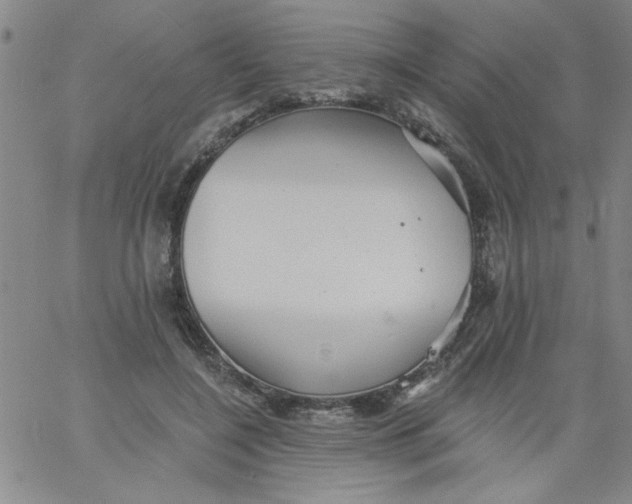 X0000061730548200512231437