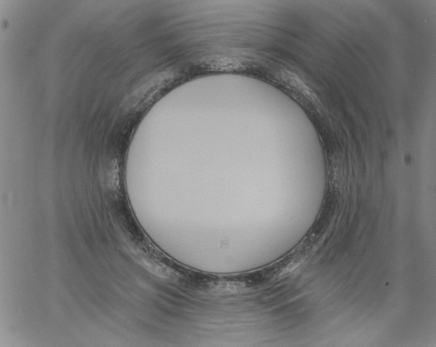 X0000061730549200512231437