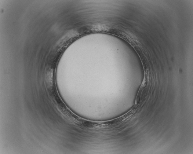 X0000061730550200512231437