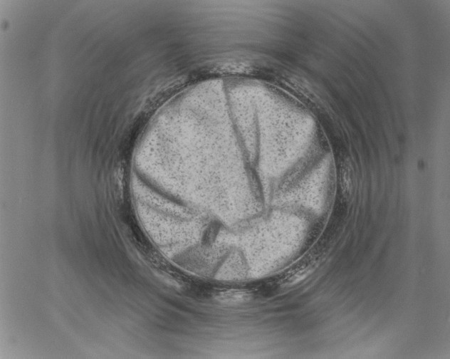 X0000061730551200512231437