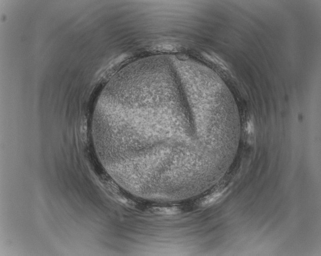 X0000061730552200512231437