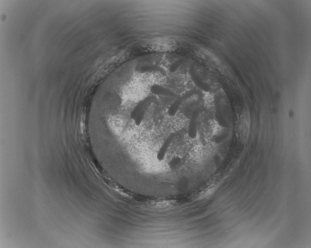 X0000061730553200512231437