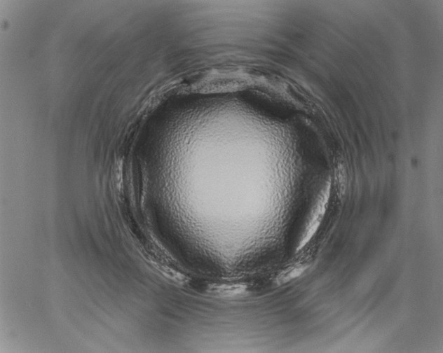 X0000061730554200512231437