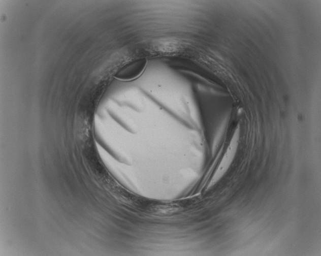 X0000061730555200512231437