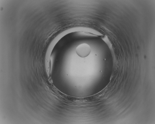 X0000061730556200512231437