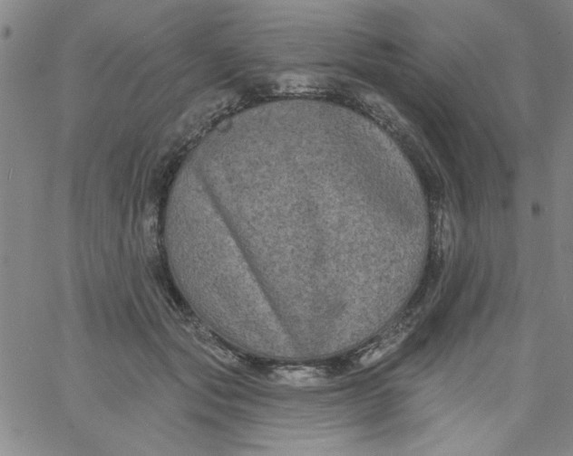 X0000061730557200512231437